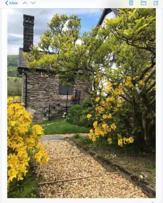 Hares Hideaway at Coed Moelfa