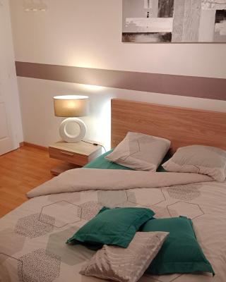 Chambre #1 dans appartement partagé - Proche des Vosges