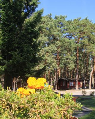 Ośrodek Portus