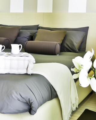 B&B Calligaris
