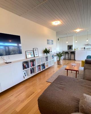 Cosy and spacious apartment in Reykjavik