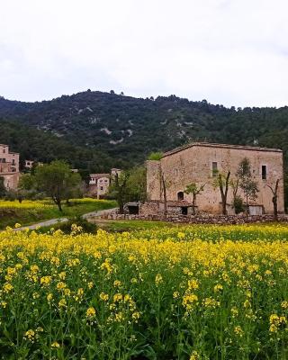 El Castell de Segueró