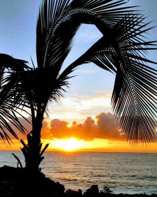 Pahoa Paradise Palms