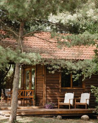 Beržų namelis - Birch cabin