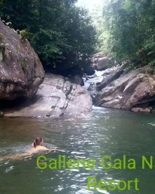 Gallene Gala Nature Resort