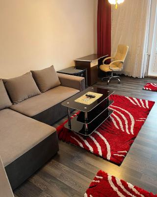 LA ALIS SI RAISA! Apartament cu 2 camere!