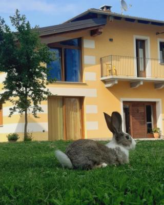 Agriturismo Fior Di Campo