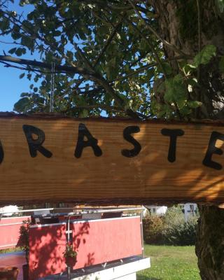 Jurastei 16