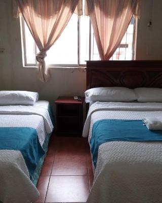 Hostal Miconia