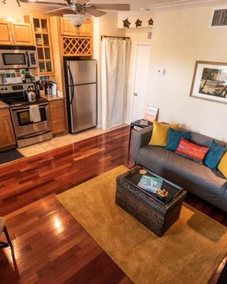 Wine-Dine-Sunshine Cozy Flat in The Heart of DTSP