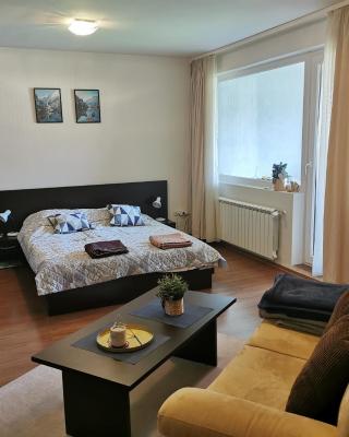 Sunny studio apartment - few steps from Gondola