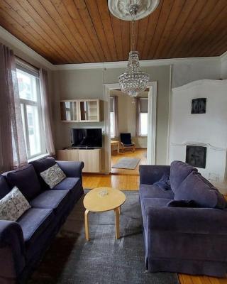 Large, quiet and centrally located apartment