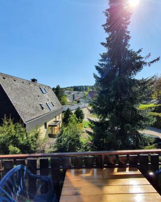 Ferienhaus-Schönwald im Herzen des Schwarzwaldes 2-Zimmer-Maisonette-Wohnung mit Balkon App 12
