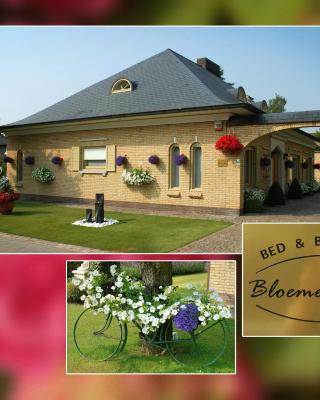 B&B Bloemenweelde