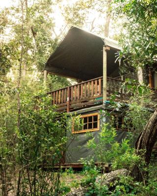 Fernhill Tented Treehouses