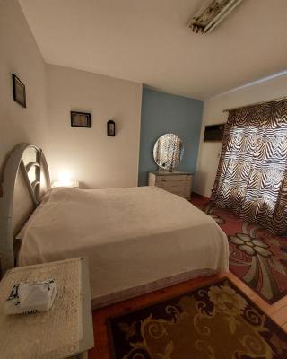 1 bedroom apartment in the heart of Cairo , just 15 minutes from the airport