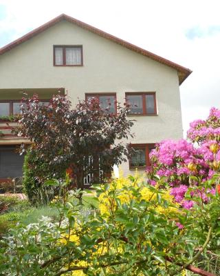 Homestay Machom