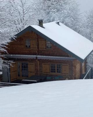 CHALET 6 PERSONNES SUR PISTE