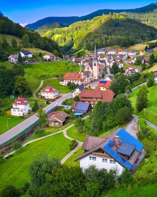 Steepleview House, Schwarzwaldblick Apartment - spacious & peaceful