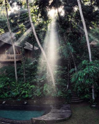 Bamboo Turtles Ecolodge