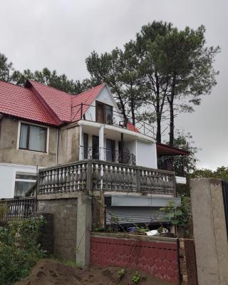 Valdi Guest Shekvetili
