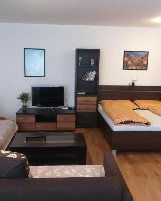 Modern city center apartment with private parking
