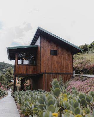 Lauraceas Lodge