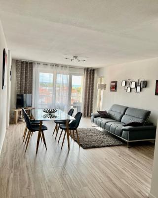 Roanne-centre appartement