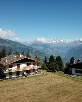 Maison Dahu - Sci, passeggiate e sport a Pila - Alloggio ad uso turistico - VDA - Gressan - n 0012