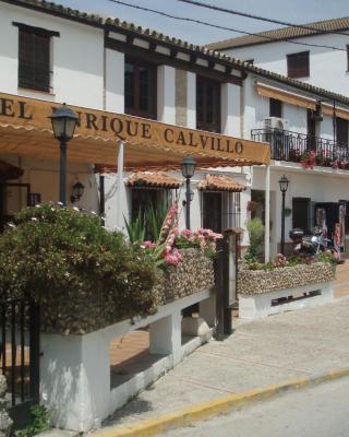 Hotel Enrique Calvillo