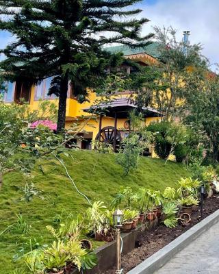 Habba Kadal Kashmiri Heritage Hotel & Hub