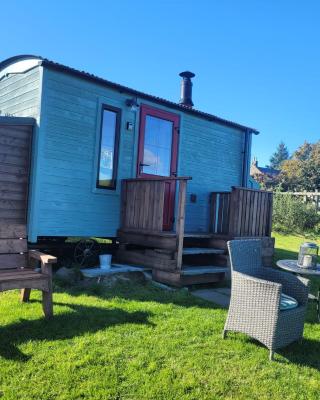 The Shepherds Hut at Forestview Farm