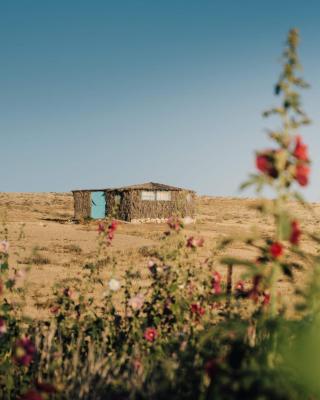 Succah in the Desert