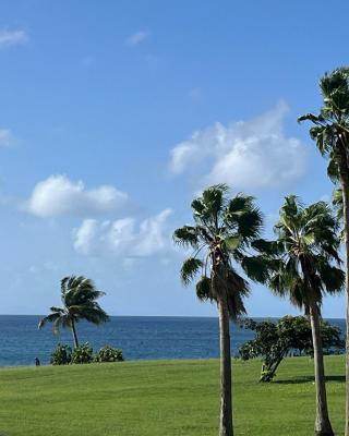 Le paradis bleu de Ste Luce T3 vue mer magnifique dans une résidence de vacances