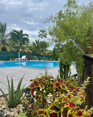 Charmante maison avec Jaccuzi et piscine