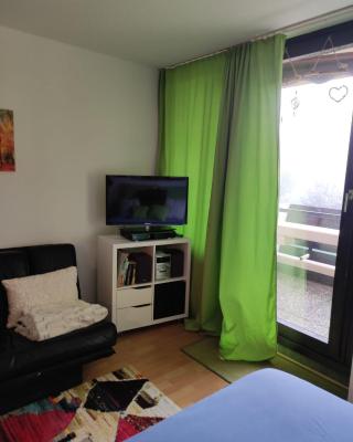 Ferienapartment Maria in Sankt Englmar