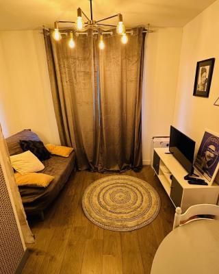 LA VILLA DEKO - Studio avec parking proche Université et Hôpital