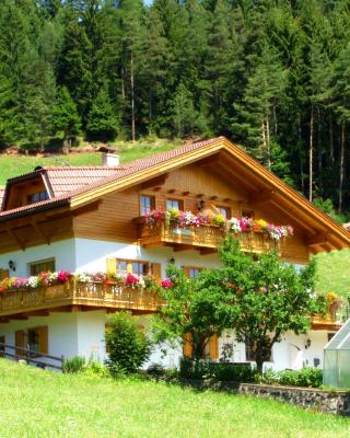 Bergblick App Lärche