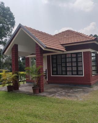 Dubare Inn Coorg