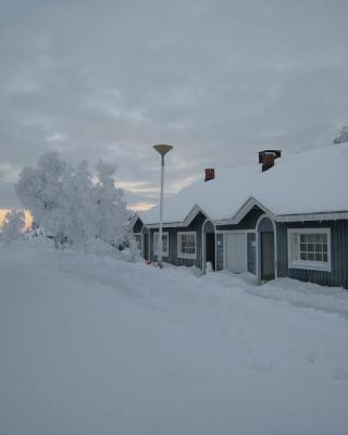 Saariselän Marjamajat