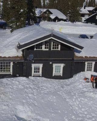 Stor familiehytte på Småsætra, Sjusjøen