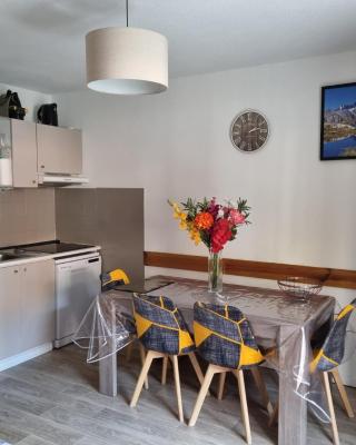 Agréable appartement de 6 pers au pieds des pistes ,wifi gratuit à Saint-Sorlin-d'Arves labelise 3 étoiles au gîte de France