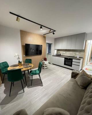 Oxana Apartments - 3 camere - Timisoara