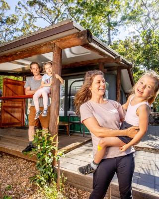 Binna Burra Rainforest Campsite