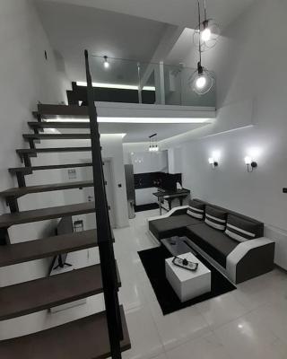 K&K Luxury Loft Apartment