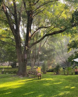 Magnolias Jardin & Boutique Suites