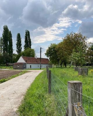 Cosy Cott, een verborgen logeerplek in het landelijke Poeke.