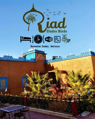 Riad Dades Birds