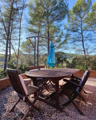 Appart "Pins & parasol", piscine chauffée et bain à remous