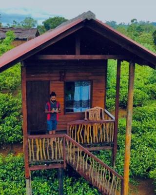 Misty Mountain- Sinharaja